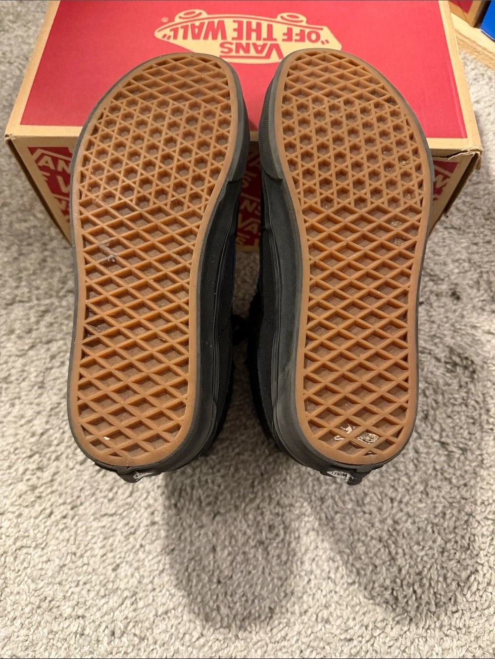 Vans men sk8